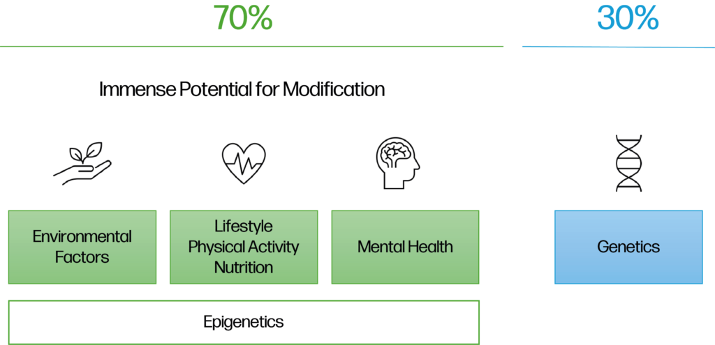 70/30-Regel: 70 % des biologischen Alters durch Umwelt, Ernährung, Bewegung und mentale Gesundheit beeinflussbar, um den Alterungsprozess ab 40 zu kontrollieren.